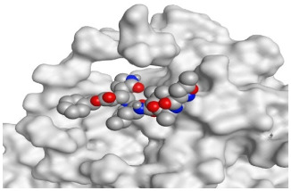 Figure 21