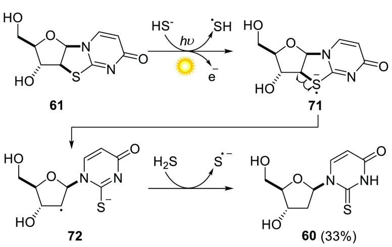 Scheme 5