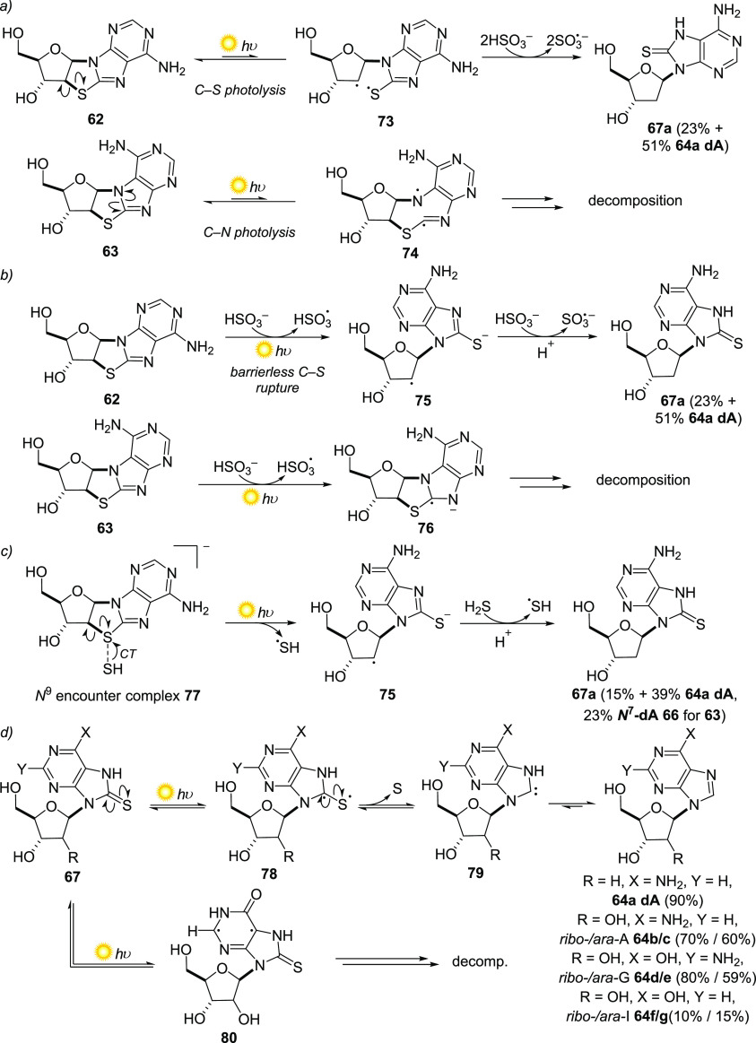 Scheme 6