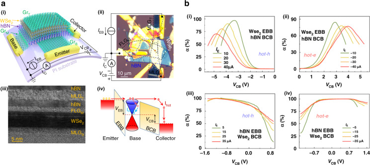 Figure 20