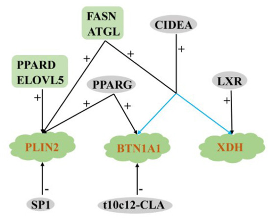 Figure 6