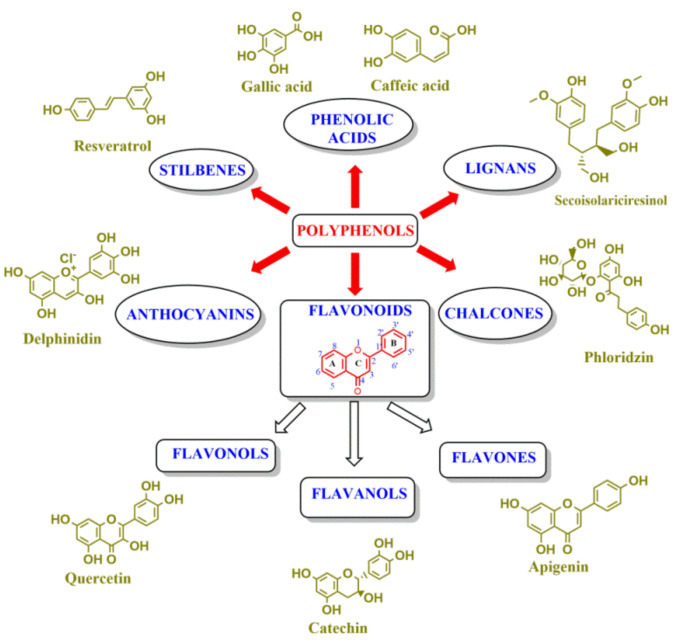 Figure 16