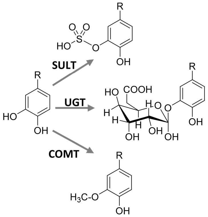 Figure 18