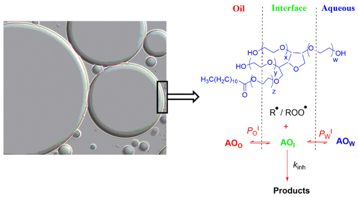 Figure 21