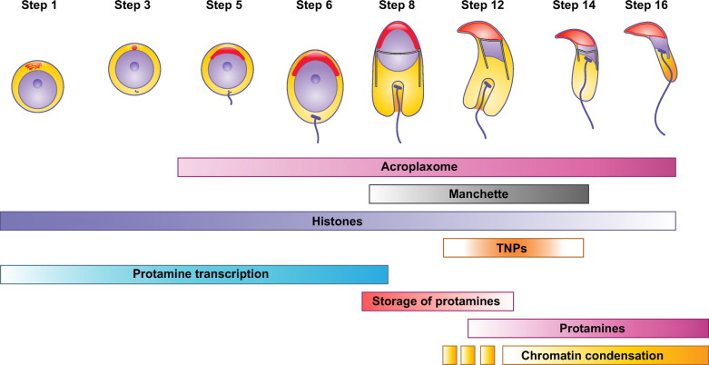 Figure 10
