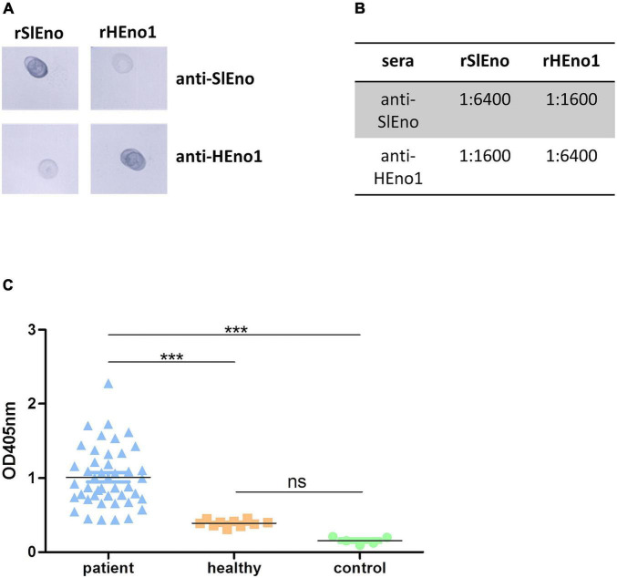 FIGURE 3