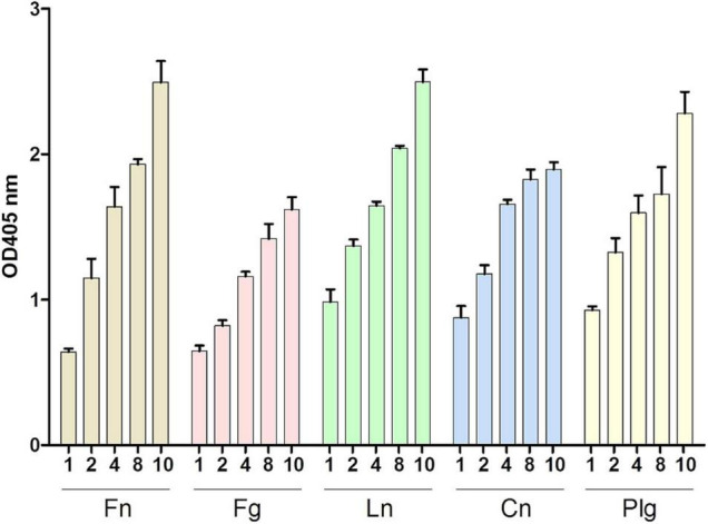 FIGURE 6
