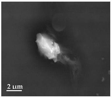 Figure 16