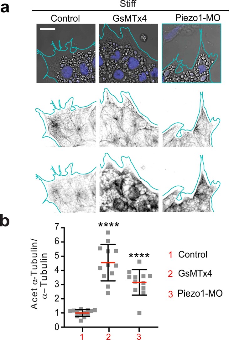 Figure 15
