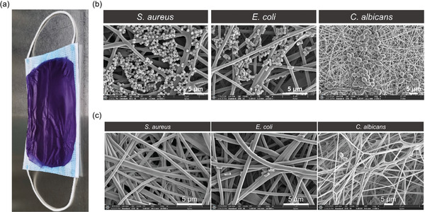 Figure 18