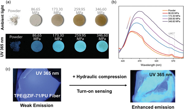 Figure 20