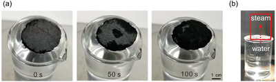 Figure 21
