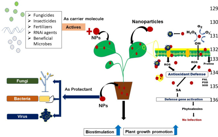 Figure 1