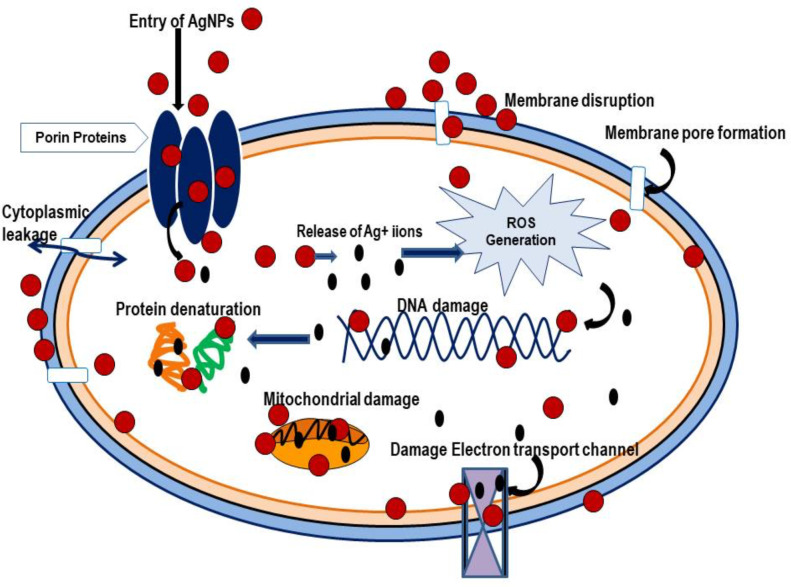 Figure 2