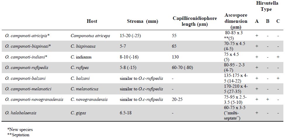 Table 1