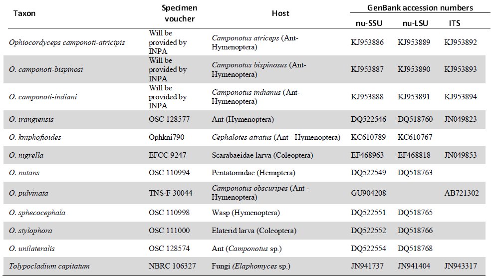 Table 2