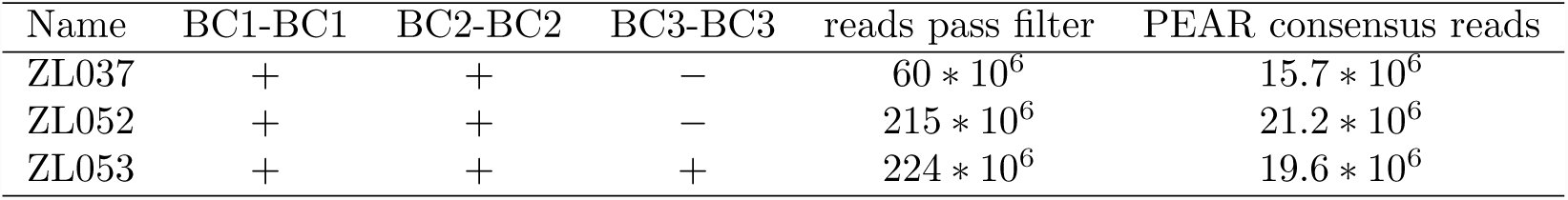 Table 2