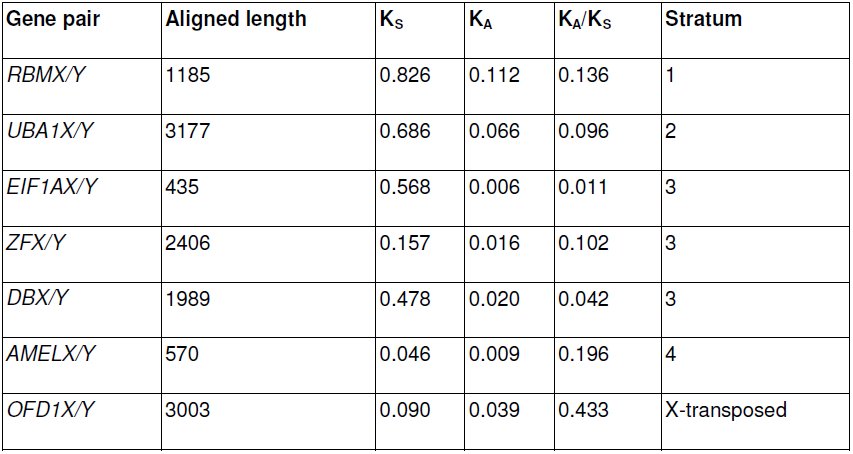 Table 3