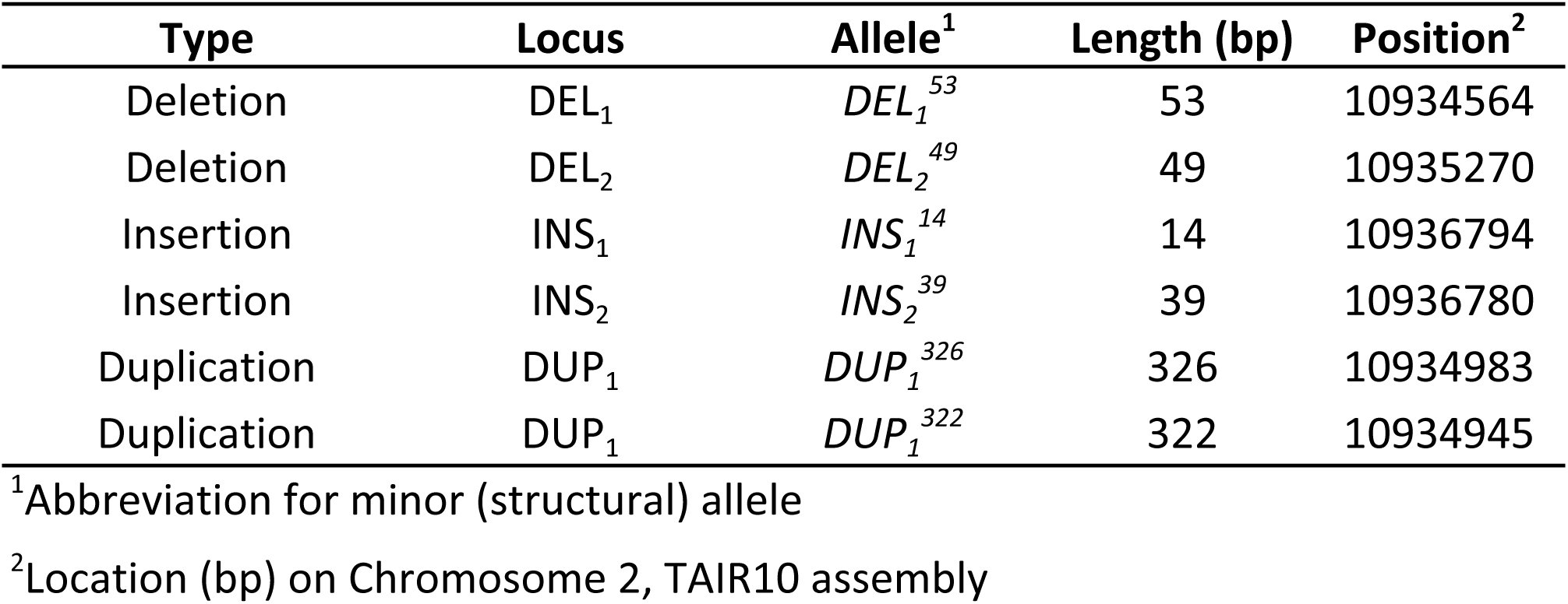 Table 12