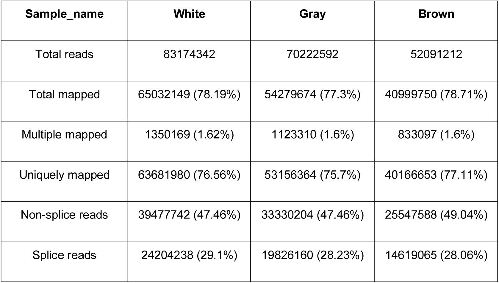 Table 3