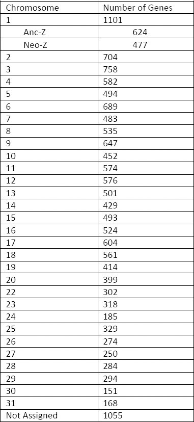 Table 2