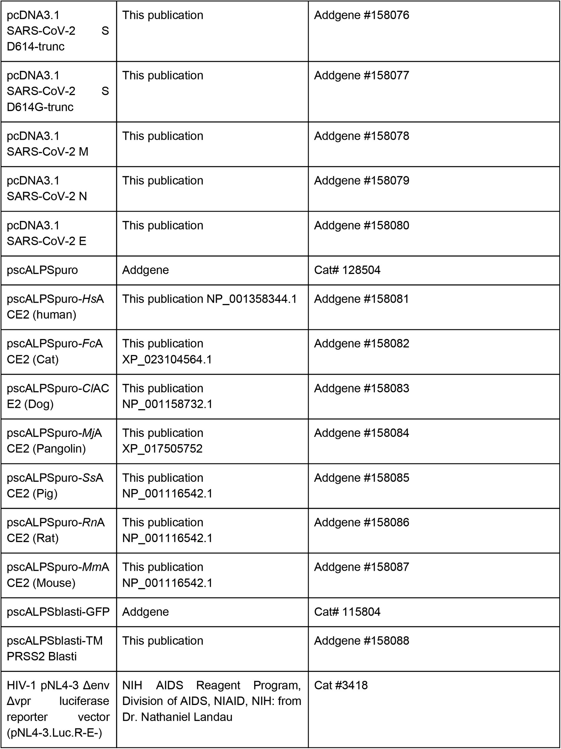 Table 6